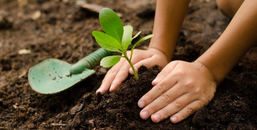 Gardening